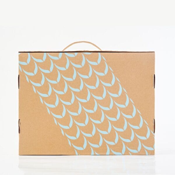 Just Landed Collection - Image 12
